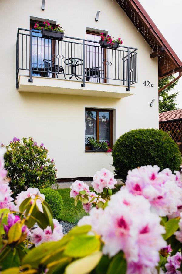 Apartamenty Pod Cisem Кудова-Здруй Экстерьер фото