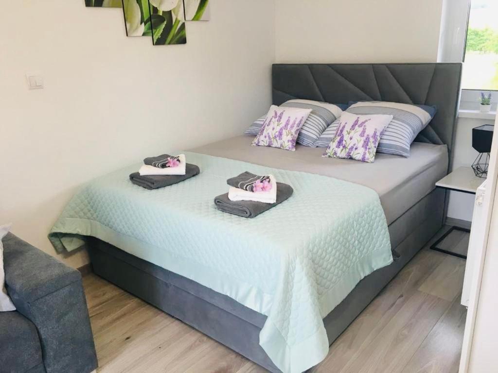Apartamenty Pod Cisem Кудова-Здруй Экстерьер фото